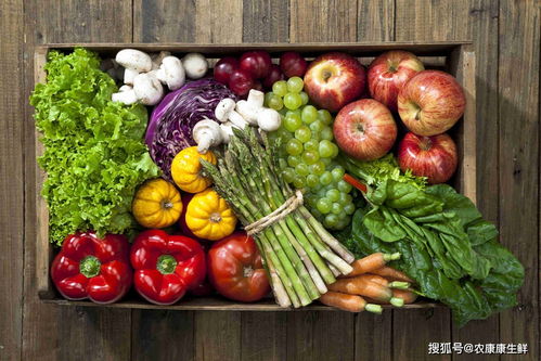 深圳市龍華區(qū)供港蔬菜首次出口 餐飲管理的協(xié)同創(chuàng)新與市場機遇